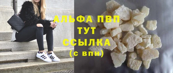 прущие грибы Михайлов