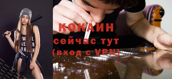 прущие грибы Михайлов