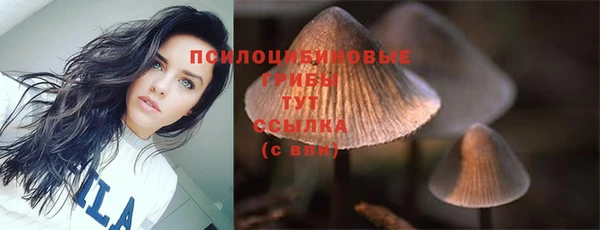 Альфа ПВП Надым