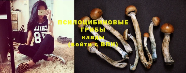 Альфа ПВП Надым